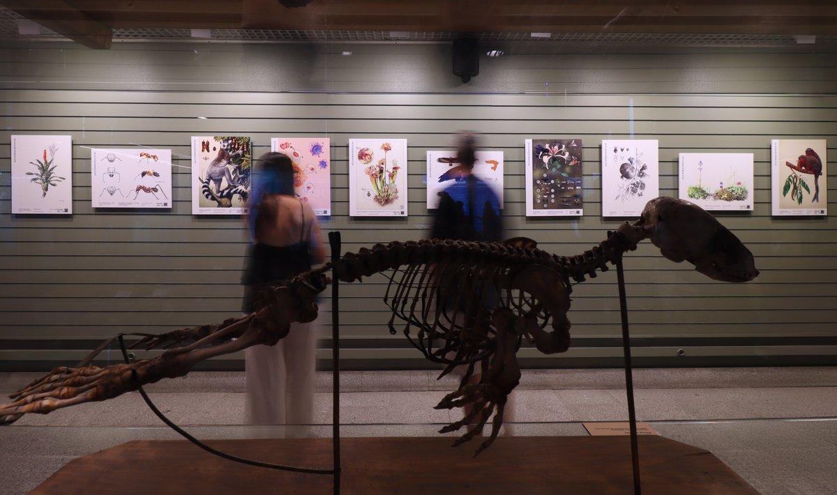 Museo Nacional de Ciencias Naturales (@mncn_csic) on Twitter photo ¡Visitad ya la exposición <a href="/illustraciencia/">ILLUSTRACIENCIA</a> 11! 🥳 Acabamos de inaugurarla e incluye 3 adaptaciones en relieve de las obras premiadas y los 40 paneles tienen códigos QR en relieve y braille que dirigen a descripciones.
¡Hasta el 6 de octubre! 🤩 👉 mncn.csic.es/es/visita-el-m… ¡Visitad ya la exposición <a href="/illustraciencia/">ILLUSTRACIENCIA</a> 11! 🥳 Acabamos de inaugurarla e incluye 3 adaptaciones en relieve de las obras premiadas y los 40 paneles tienen códigos QR en relieve y braille que dirigen a descripciones.
¡Hasta el 6 de octubre! 🤩 👉 mncn.csic.es/es/visita-el-m…
