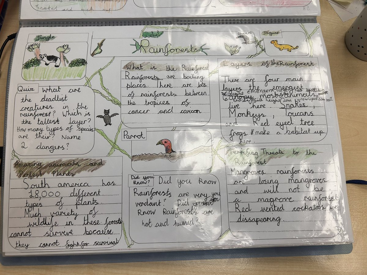 SaughallPrimary's tweet photo. Super writing from Mr Fuller’s class about The Rainforest @TheLCUK #pathwaystowrite https://t.co/XgVIQMqctj