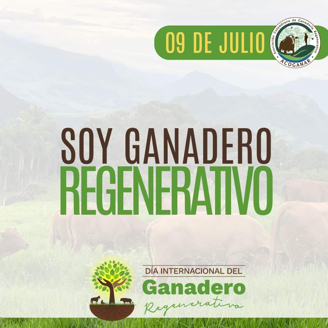 Asociación Colombiana de Ganadería Regenerativa tweet media