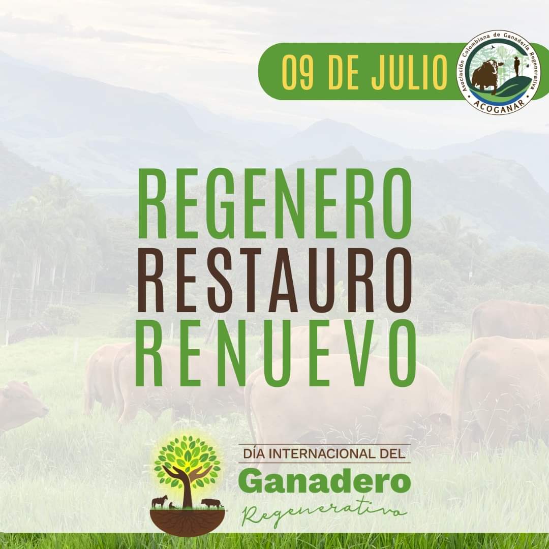 Asociación Colombiana de Ganadería Regenerativa tweet media