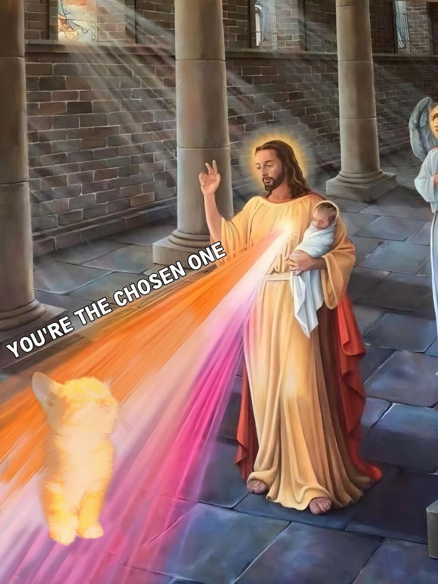 Omnicatonsol's tweet photo. He's the chosen one 

$omni https://t.co/xiHcwr3P1D