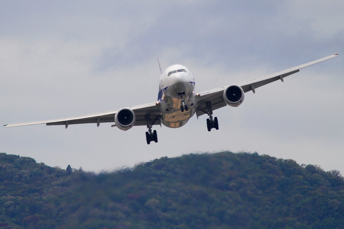 suu451JSDF's tweet photo. #709の日
#JA709A
#ANA
#全日本空輸
#伊丹空港
#羽田空港 https://t.co/7FT40BpoUd