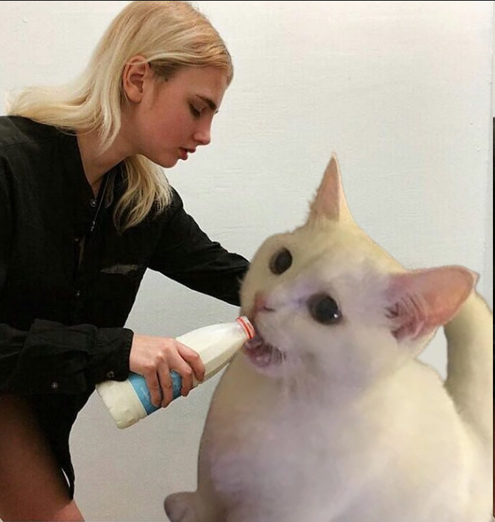 DrinkSol's tweet photo. we still here waiting for our $drink wtf. https://t.co/pCzk4IXU0W