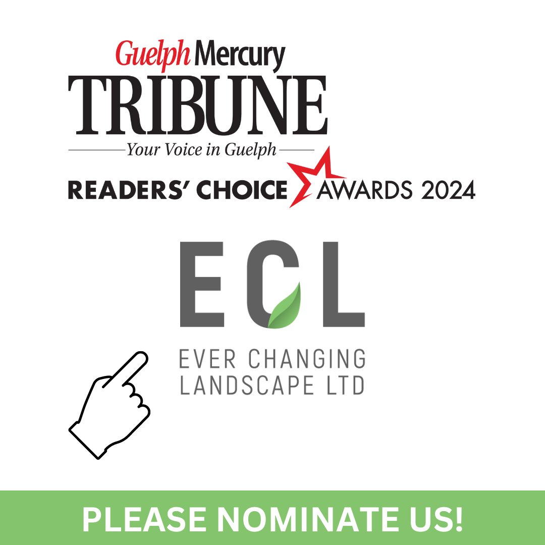 We want to thank our customers for nominating us for the 2024 Reader's Choice Awards for the Guelph location.

If you haven't nominated us, please click on the links below and pick Ever Changing Landscape.
The nomination period ends on July 19th, 2024.

bit.ly/4byIwCO