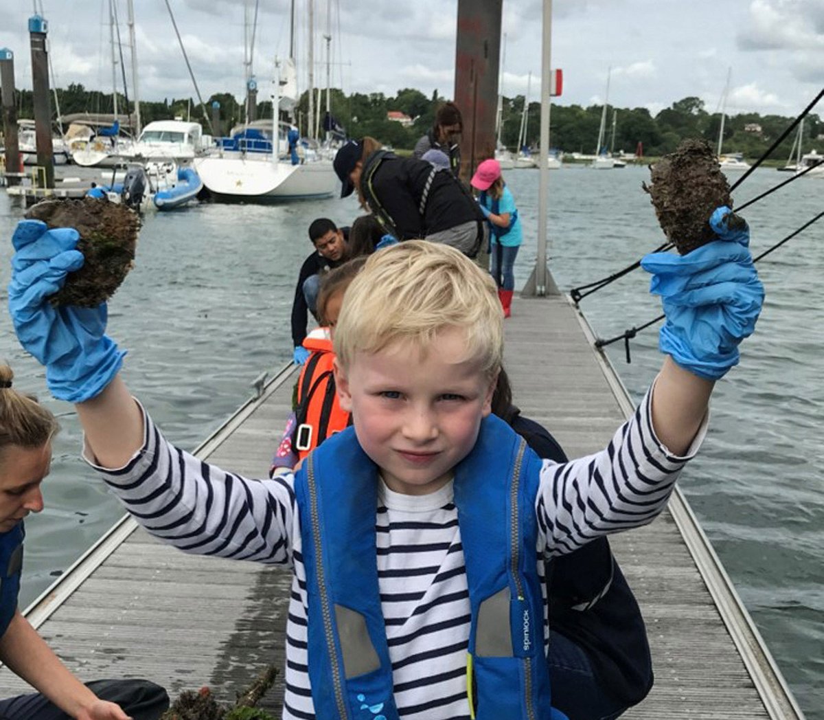 The Wild Oysters Project tweet media