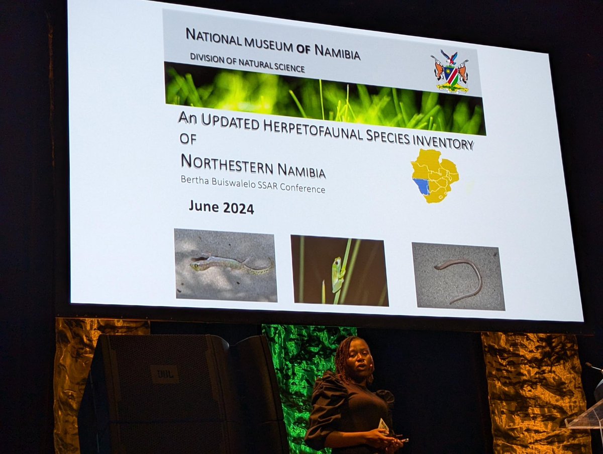 MWPARC's tweet photo. We had some awesome speakers and learned about some great research at the annual conference a few weeks ago! If you went to the conference what was your favorite talk?

We can’t wait until next year!

📸: Jen Lamb #conference #mwparc #mwparc2024 #conservation #herps #reptiles https://t.co/OdTWVpsxGY
