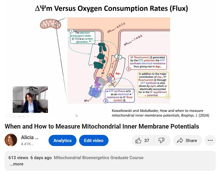 I´m very happy to see that a highly niche video about mitochondrial membrane potentials has attracted over 600 viewers in less than a week. Go mitochondria!
youtu.be/pNqxue0hvPY?si…