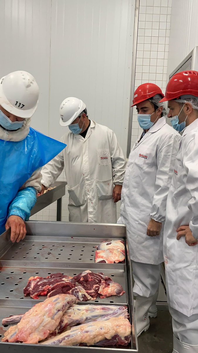alvaro_chacho's tweet photo. Visitamos el Frigorifico Florida. 
Muy contento porque más de 145 personas de Florida tienen su empleo y los cortes con mano de obra de nuestro departamento ya están en varias partes del mundo. 
Florida avanza en empleo de calidad y nuevas oportunidades. https://t.co/H6NYliIPPg