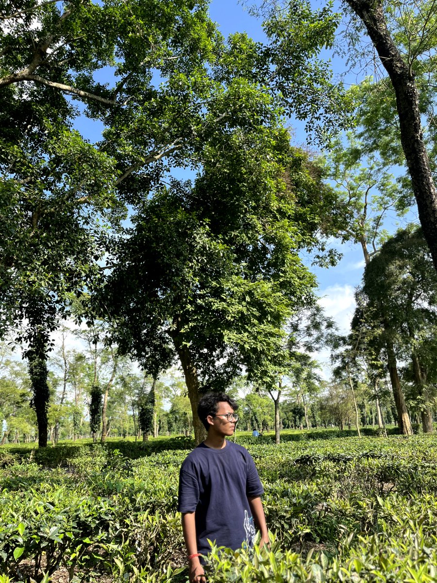 Rajdeep175's tweet photo. 🌱 https://t.co/a5NjiHXQtL