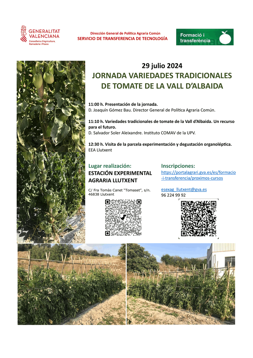 GVAagricultura's tweet photo. 🍅Jornada sobre variedades tradicionales de tomate de la Vall d'Albaida
🍅Jornada sobre varietats tradicionals de tomaca de la Vall d'Albaida
📅29/7
🏛️Llutxent
📞96 224 99 92 - esexag_llutxent@gva.es
✍️https://t.co/sZe1Hss8vp https://t.co/BlJ6DBFD2P
