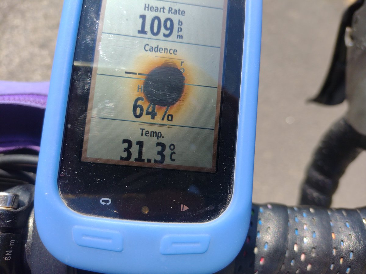 Hazel McCrea tweet media