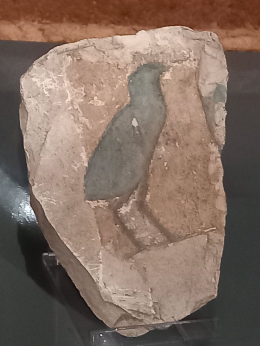 WBerksMuseum's tweet image. There are a *few places* left on the *free* guided #tour of the From the Nile to Newbury #exhibition on Sat 13 July,  2pm (adults). Led @TVAESUK the tour lasts 45 minutes and includes #objecthandling 
To book a *free* place: buff.ly/33Ld6q0 
Bookings close 3pm on Thurs.