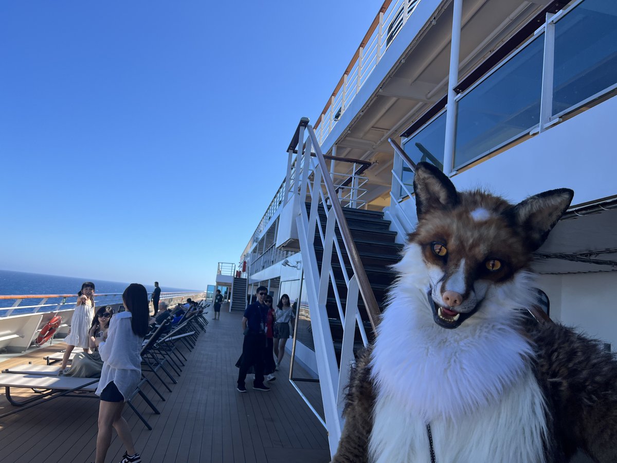 fidgetredfox's tweet photo. Guess who is having some good time on a cruise ship? 🦊🚢

📸: @frxvmino https://t.co/ENzwLDGY96