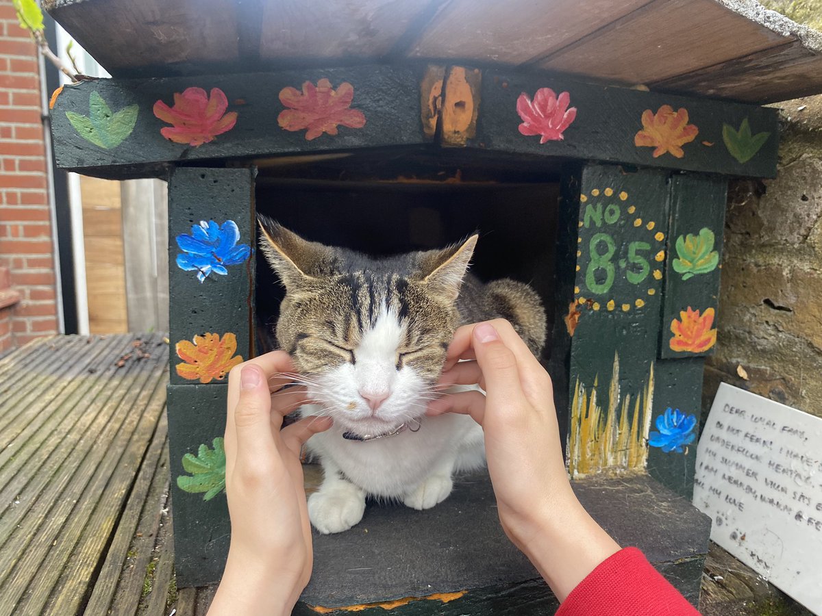 MannGeorgia's tweet photo. Good morning from me and this feline we see on the way to school. Join us @BBCRadio3 @ 9.30 for Ravel to start, Haydn’s Lark Quartet, Schumann’s Toccata in C &amp; in the Playlister it’s Le Chaos from Rebel’s ballet Les Elements 📻🎹🎶❤️ https://t.co/RK1zyCyHx7