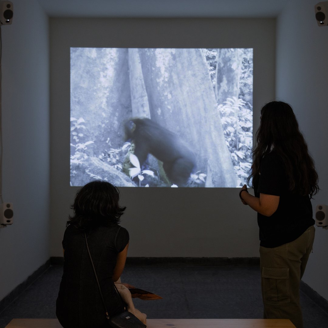 🚨Last week to catch the installation "Triggered by Motion" and “Who's calling can you hear?” at the <a href="/SciGalleryBlr/">Science Gallery Bengaluru</a>!✨ Join us before July 14th and step into a pavilion where #science, #art, and #nature converge.🌐🎥 <a href="/artscience_uzh/">Art and Science UZH</a> 
for full credits: loom.ly/U0W8Kqk