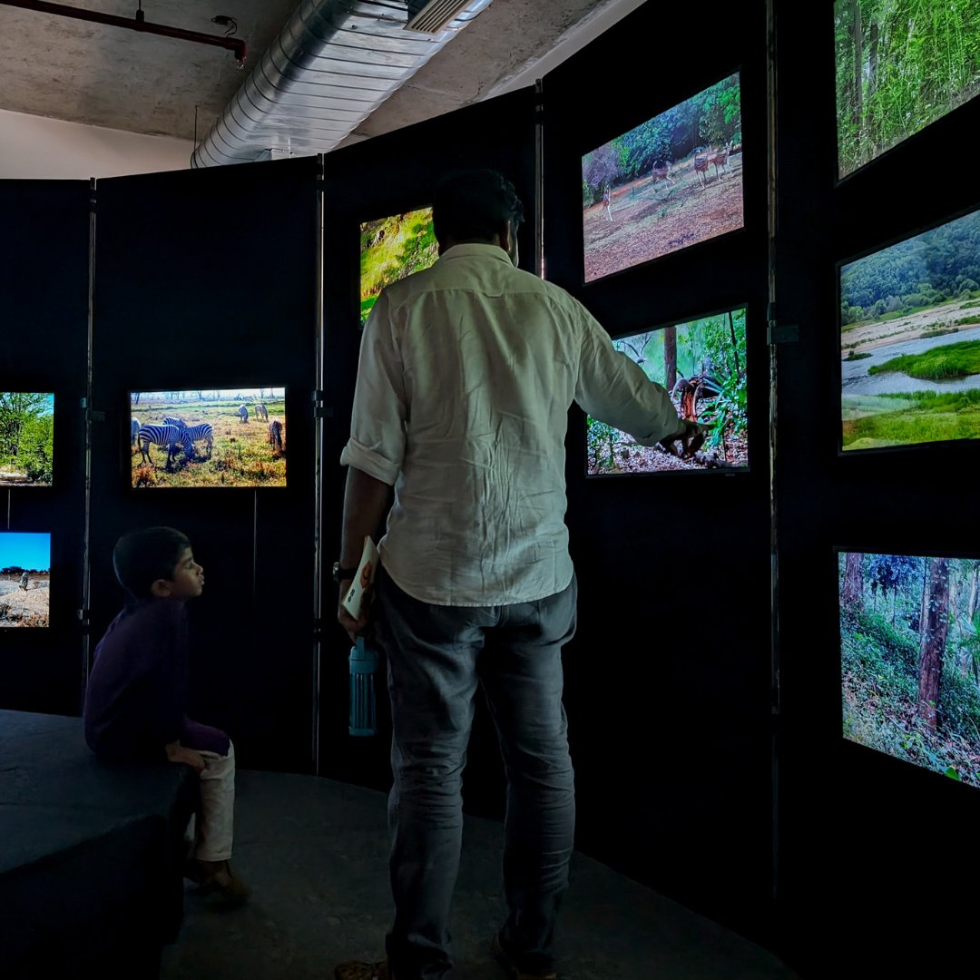 MotionTriggered's tweet photo. 🚨Last week to catch the installation "Triggered by Motion" and “Who's calling can you hear?” at the @SciGalleryBlr!✨ Join us before July 14th and step into a pavilion where #science, #art, and #nature converge.🌐🎥 @artscience_uzh 
for full credits: https://t.co/UvFnAk3tgC https://t.co/1XqzgG7ItH