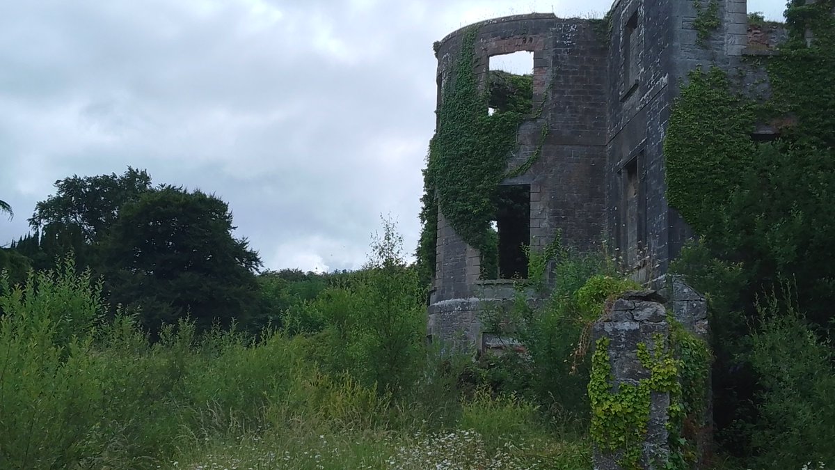 Dawg where the FUCK am I?