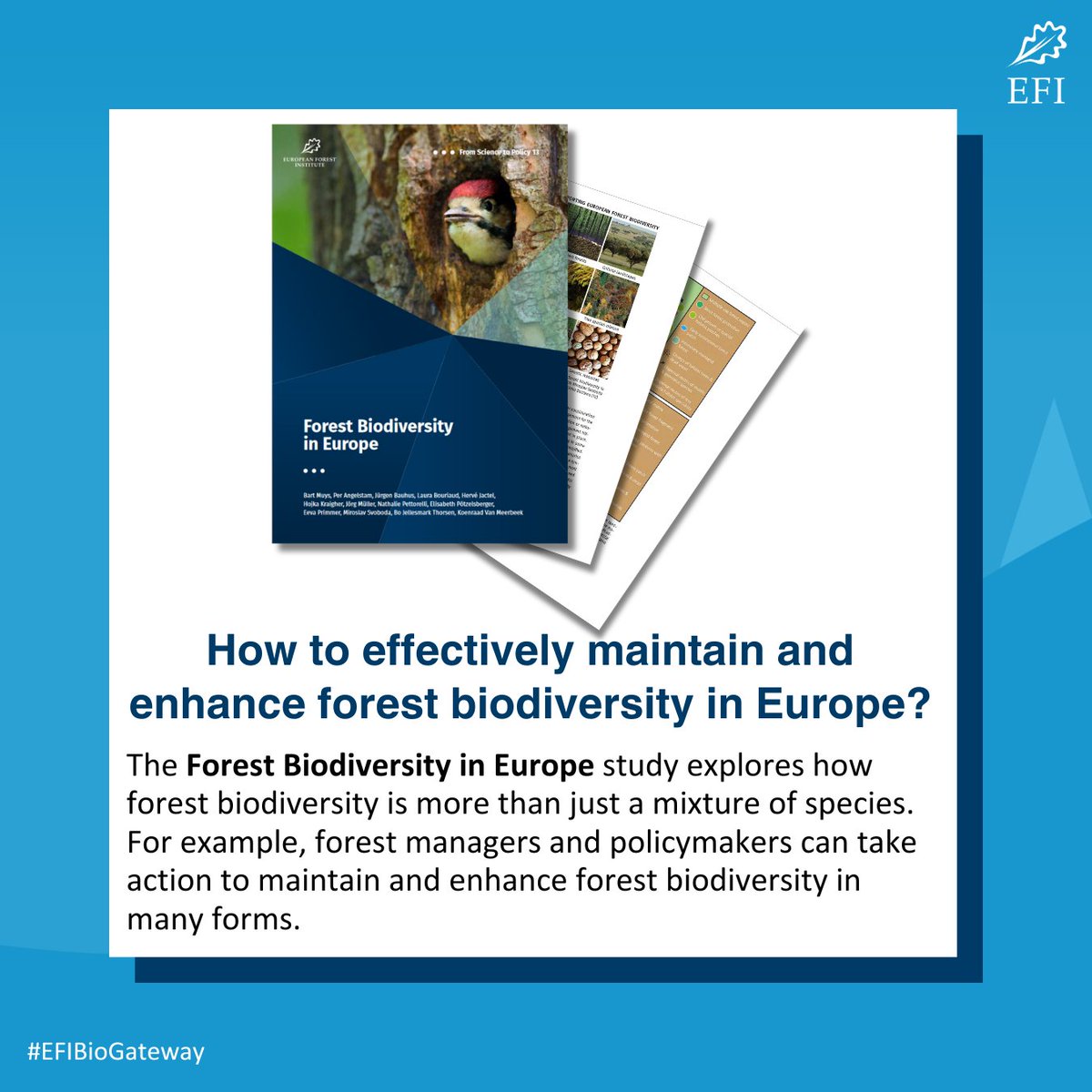 European Forest Institute (EFI) tweet media