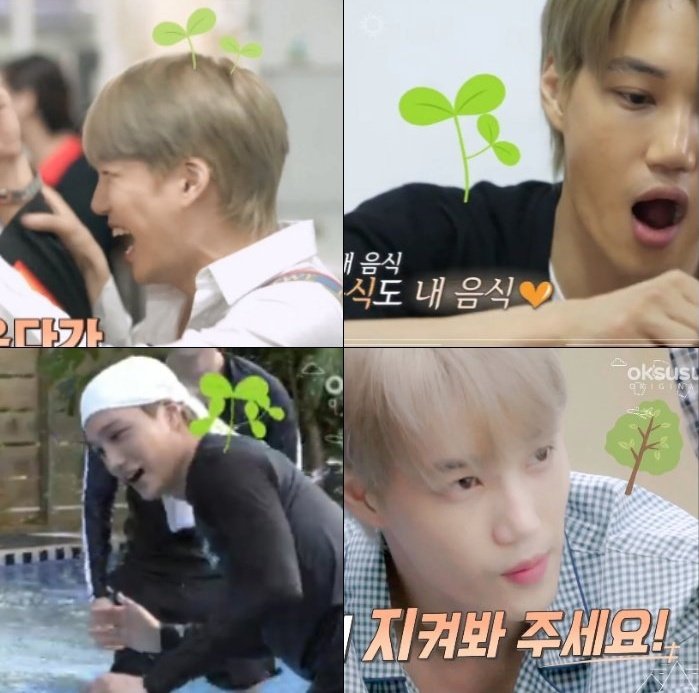 xonynelvr's tweet photo. another thing I love about exo ladder is the evolution of variety sprout kim jongin  :(( https://t.co/n5aZZIbRKz