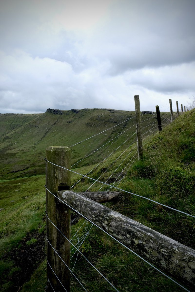 AxelbyRichard's tweet photo. Sheep fence, north side of Kinder Scout https://t.co/1u8GEurmio