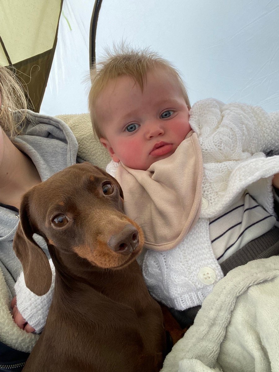 Olivia Massey tweet media