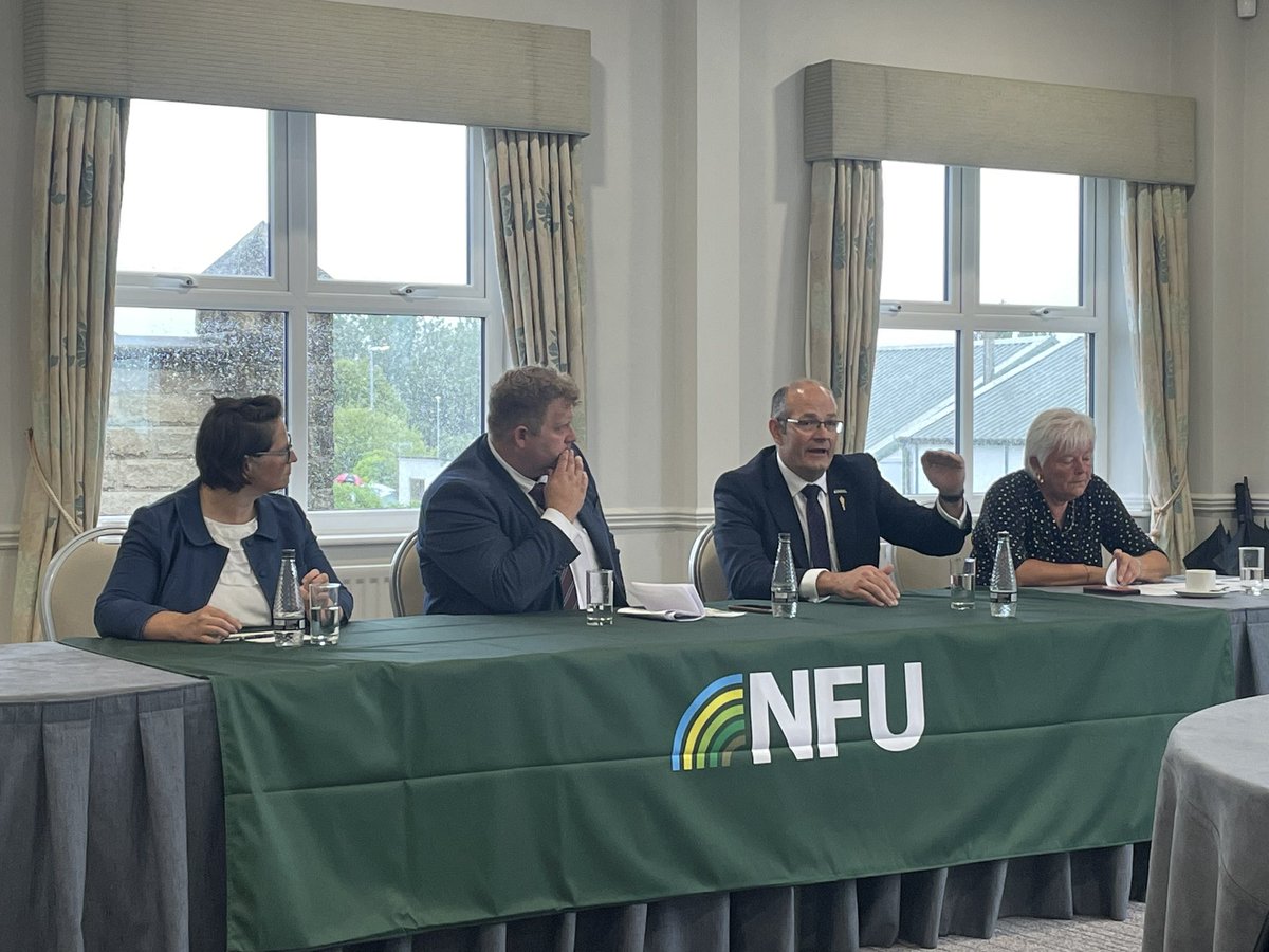 David Hall tweet media