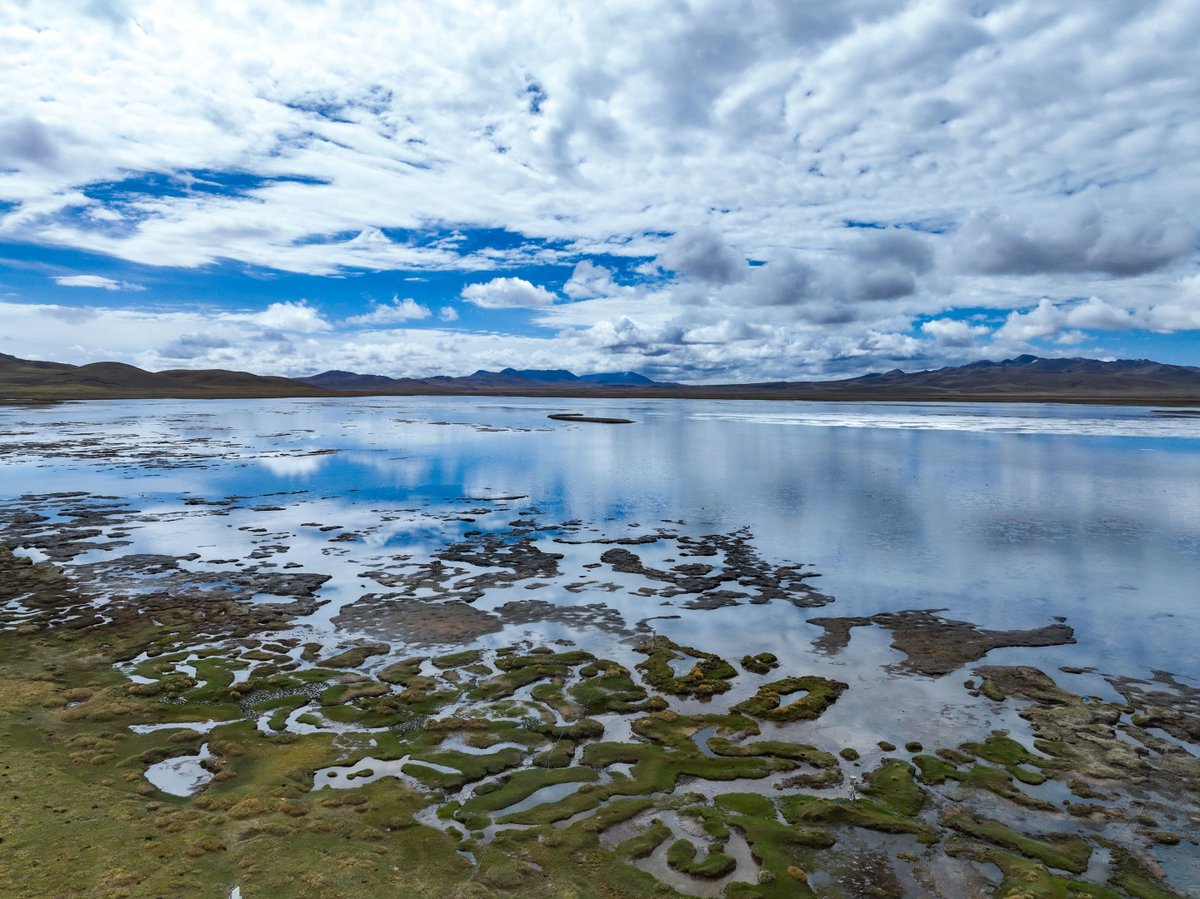ZuiRencheng's tweet image. #OpenComment Despite the progress made in protecting the #environment, the #ecology in #Sanjiangyuan, fragile as it is, will take a long time to heal, and that more efforts are needed to ensure China&apos;s &quot;water tower&quot; regains its serene nature.