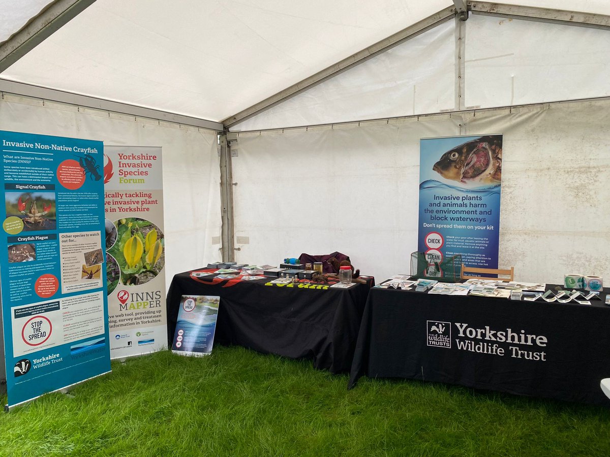 Yorkshire Crayfish Forum (@yorks_crayfish) on Twitter photo If you need a place to dry off at <a href="/greatyorkshow/">Great Yorkshire Show</a> today, why not come say hello! We will be with <a href="/YISF__INNS/">YISF_InvasiveSpecies</a> talking about invasive species in <a href="/SandTCUKYorks/">Salmon & Trout Conservation WY</a> tent Stand 344 in Country Pursuits. 🦞🌱🦐 If you need a place to dry off at <a href="/greatyorkshow/">Great Yorkshire Show</a> today, why not come say hello! We will be with <a href="/YISF__INNS/">YISF_InvasiveSpecies</a> talking about invasive species in <a href="/SandTCUKYorks/">Salmon & Trout Conservation WY</a> tent Stand 344 in Country Pursuits. 🦞🌱🦐