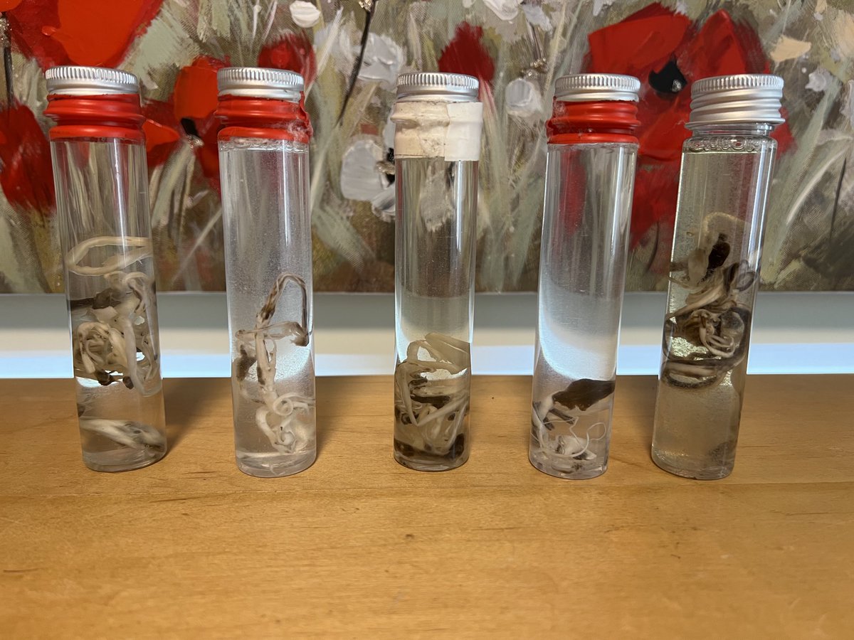 That damn conspiracy eh..