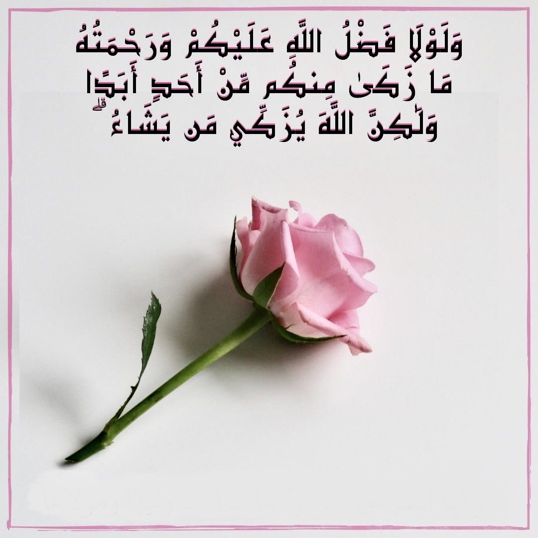 Sayed_alhasan's tweet photo. 1️⃣
أي عمل نريد أن نعمله هناك شيطان متربّص يريد حرفه، حتى الخاطرة والنيّة والنظرة.
لا ننام عنه لأنه لا ينام عنّا، ولا نطمئن لصحّة الأصل (المعتقد) فنظن صحّة كل ما تحته
يطلب الله منا أن نعتصم بربوبيته ومُلوكيّته وإلهيته من الشيطان في (سورة الناس) لعظيم خطره.
وبفساد النيّة فساد العمل https://t.co/3XAxCwhxSn