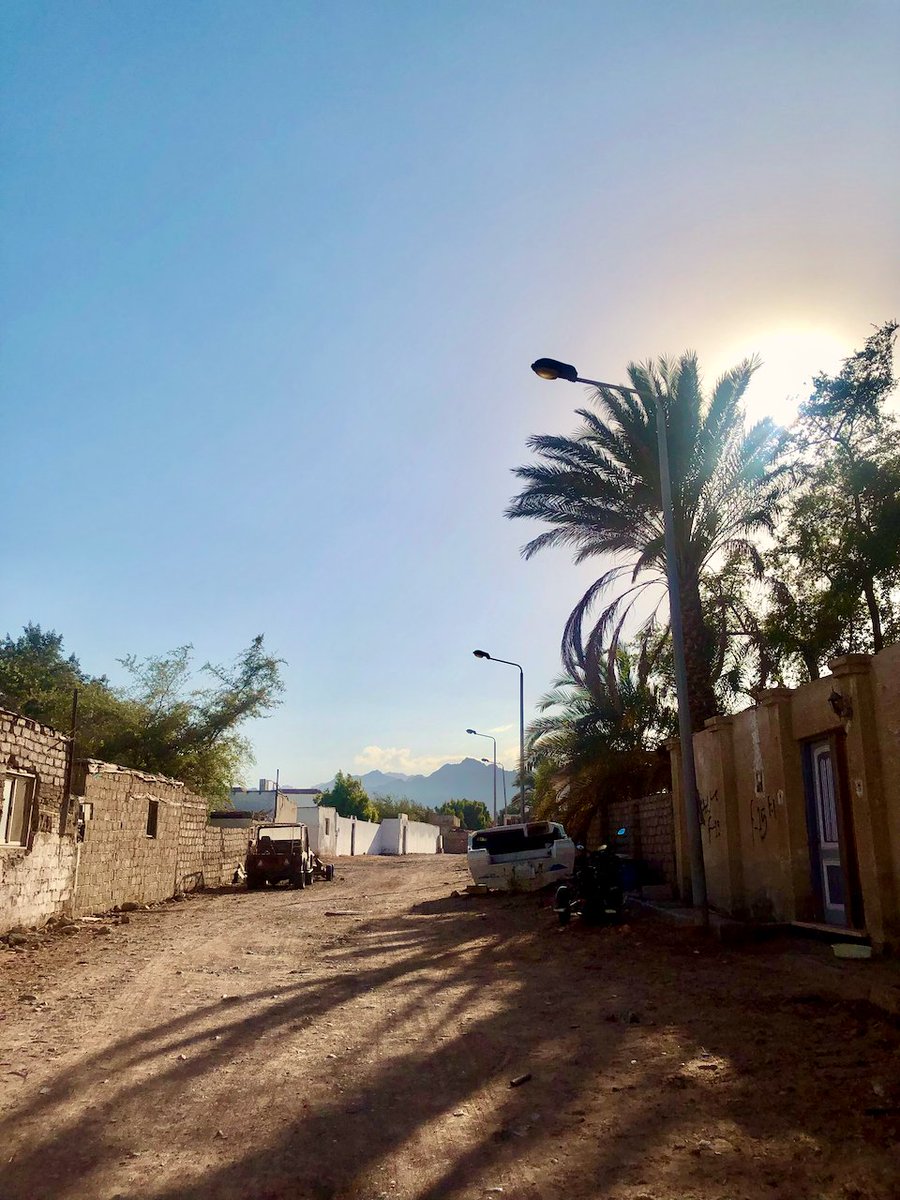 Oh that speechless tongue
There was never a better disguise
Keep tearing at that sun
Tear it out of your skies

- RD Thomas, The Way Down