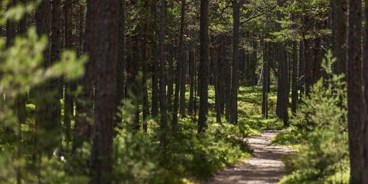Without biodiversity, humanity has no future.

The loss of species and habitats threatens us as much as climate change. Sweden needs a nature law to stop biodiversity loss, urge some 50 scientists and civil society leaders in <a href="/GoteborgsPosten/">Göteborgs-Posten</a>: buff.ly/4bvnipe