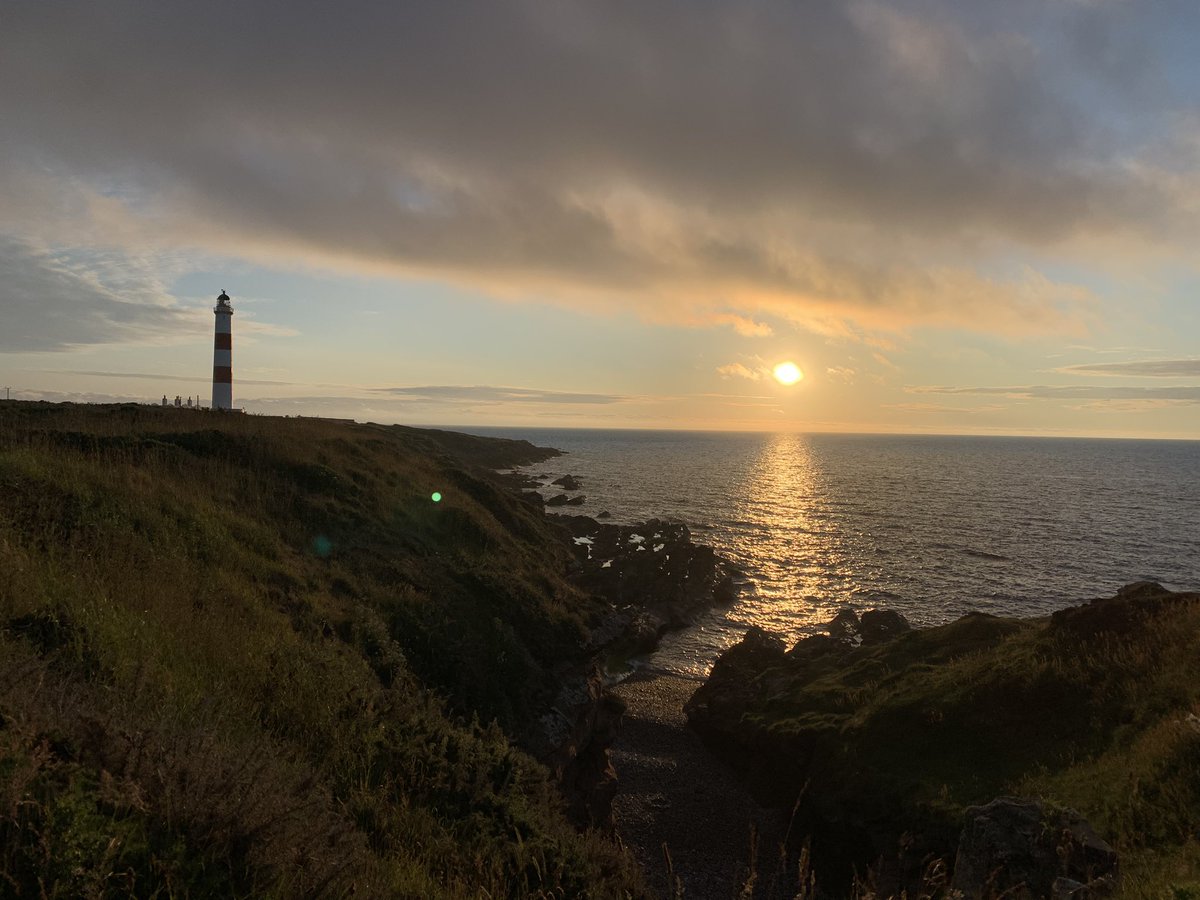 Tracy Munro tweet media