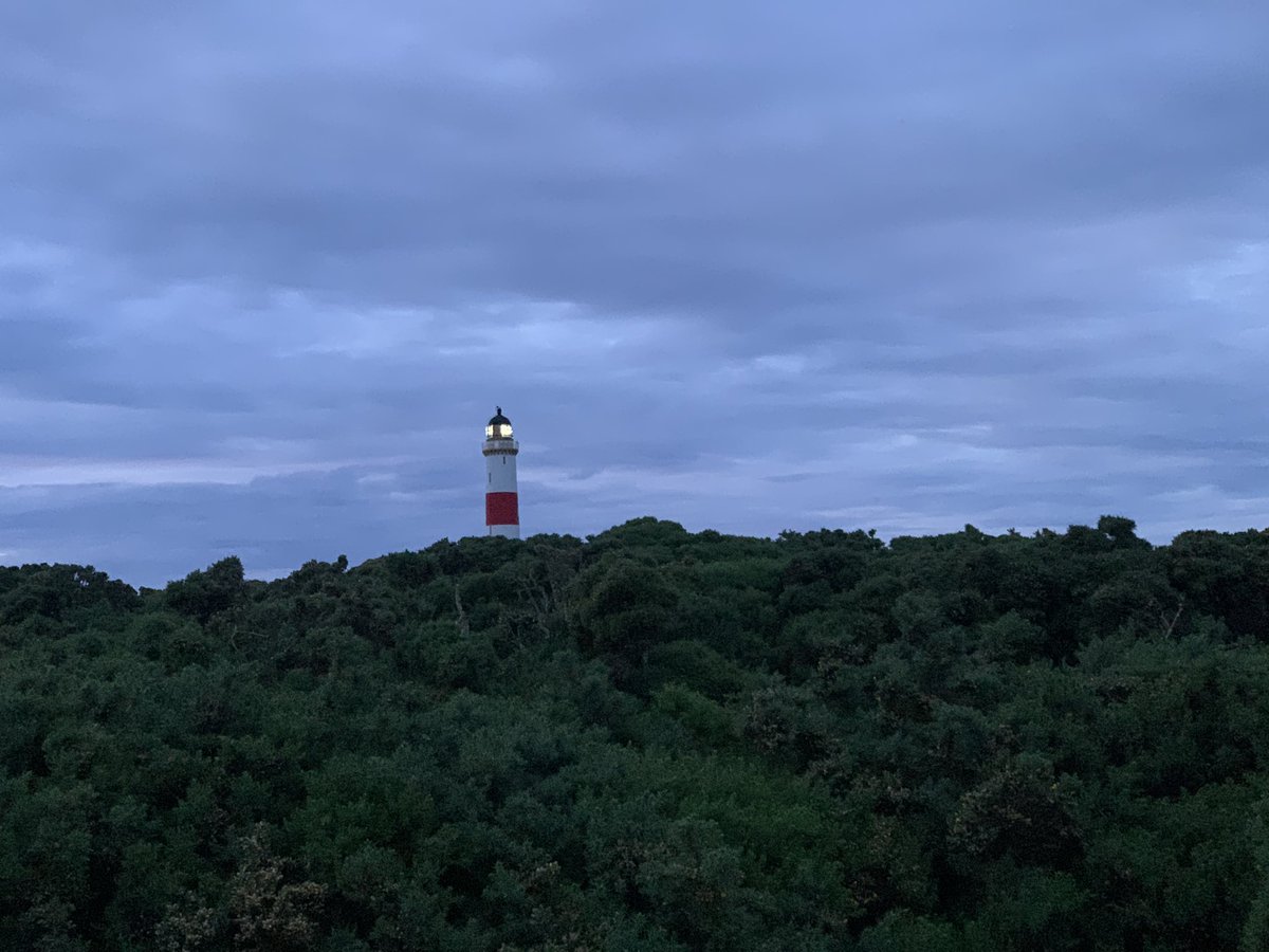 Tracy Munro tweet media