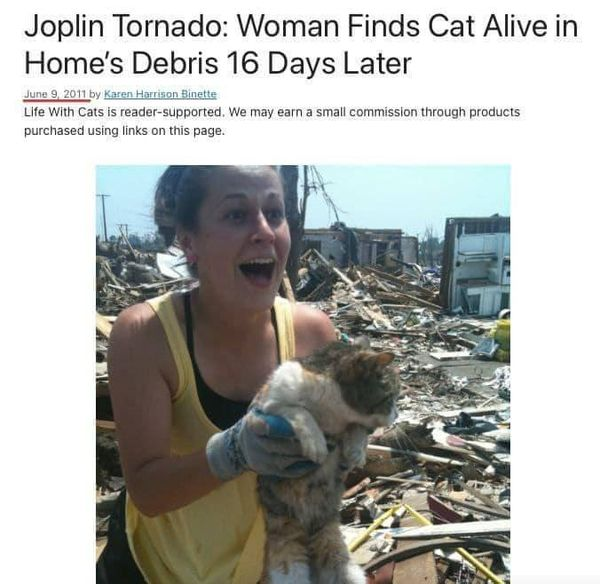 WimdenOudsten's tweet photo. Zoek de verschillen.
* Links: foto van vrouw in VS die haar kat terug vindt ( 2011).
* Rechts: foto van vrouw in Oekraïne die haar kat terug vindt (2022).
Je wordt bedonderd waar je bij staat!
Open je ogen en denk na! https://t.co/Qv1bjqBzpT