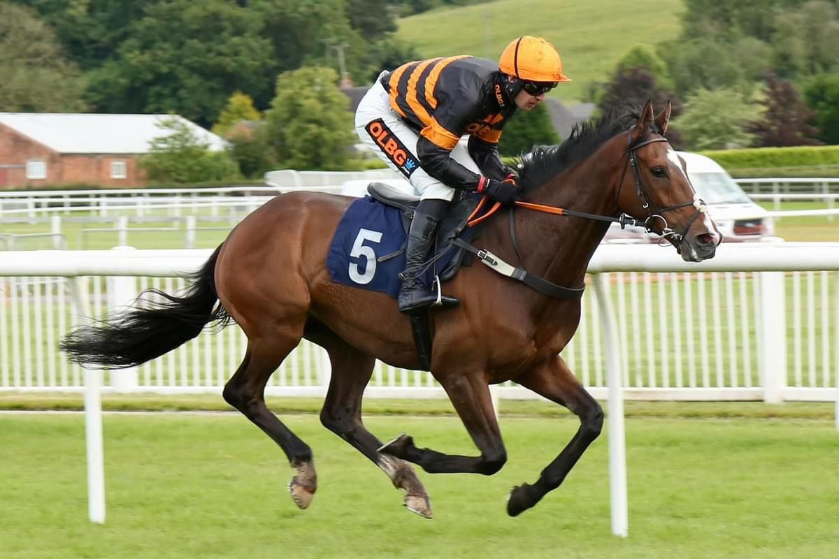Harry05Derham's tweet photo. Today we head to @UttoxeterRaces to run Valsad.

Best of luck to his owners the @OLBG Racing Club.

Read my thoughts ⬇️

https://t.co/r34QqZ4CWo https://t.co/io66odWaNz