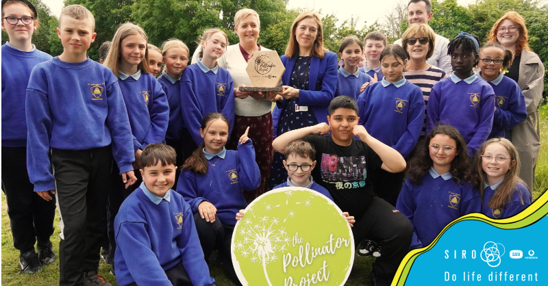 SIROIreland's tweet photo. Congratulations to @StMolaga5 on being chosen as this year’s Golden Bee Champion as part of the #PollinatorProject competition.  A huge thank you to all the schools that participated in this year's Pollinator Project – your dedication is inspiring! @BioInSchools

#FibreFirst