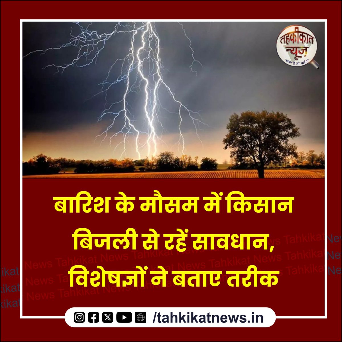 TahkikatNews1's tweet image. Jhansi News: 

🖲️ रानी लक्ष्मी बाई केंद्रीय कृषि विश्वविद्यालय के वैज्ञानिकों ने लोगों को आकाशीय बिजली से बचने के उपाय बताए हैं।

#jhansi #ranilakshmibaicentralagriculturaluniversity #skylights
