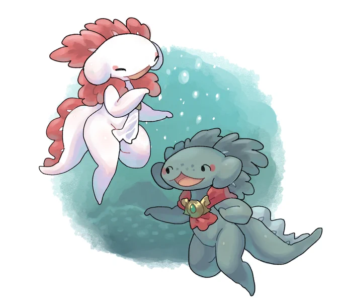 むっちりメキシコサラマンダー 