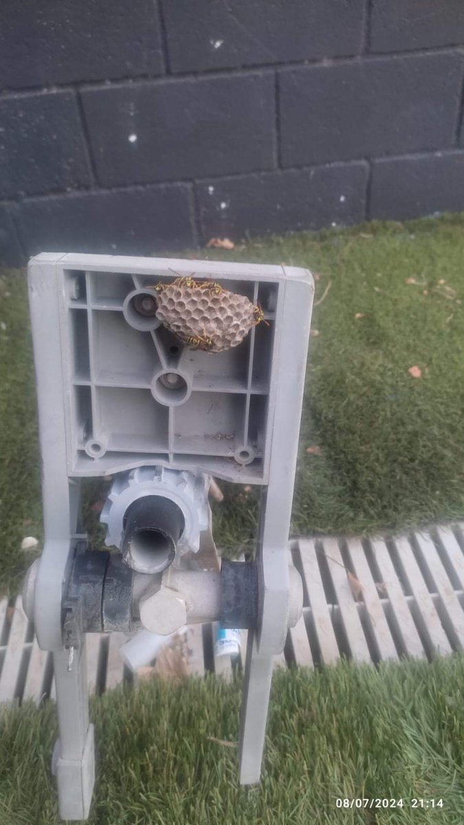 PC Sant Boi 🟧 🟧 🟧 🟧 tweet media