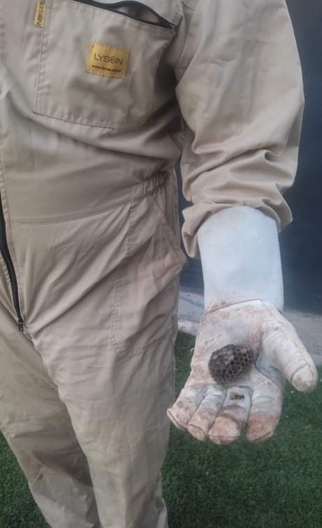 PC Sant Boi 🟧 🟧 🟧 🟧 tweet media