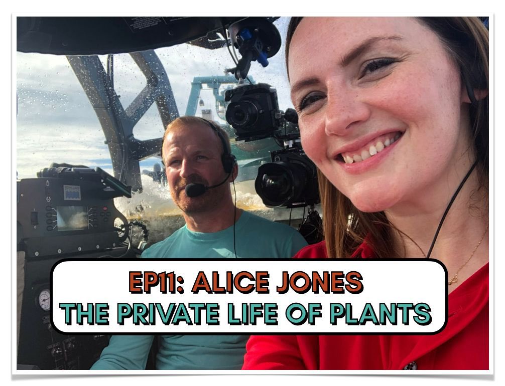 Alice Jones is our guest on <a href="/tortoisepod/">Who Moved the Tortoise?</a> this week, and it’s a slice of 90s nostalgia as we discuss David Attenborough’s 1995 series The Private Life of Plants. Along the way, Alice explains why <a href="/carolvorders/">Carol Vorderman</a> is one of her science heroes. Listen here: pod.link/1743063174