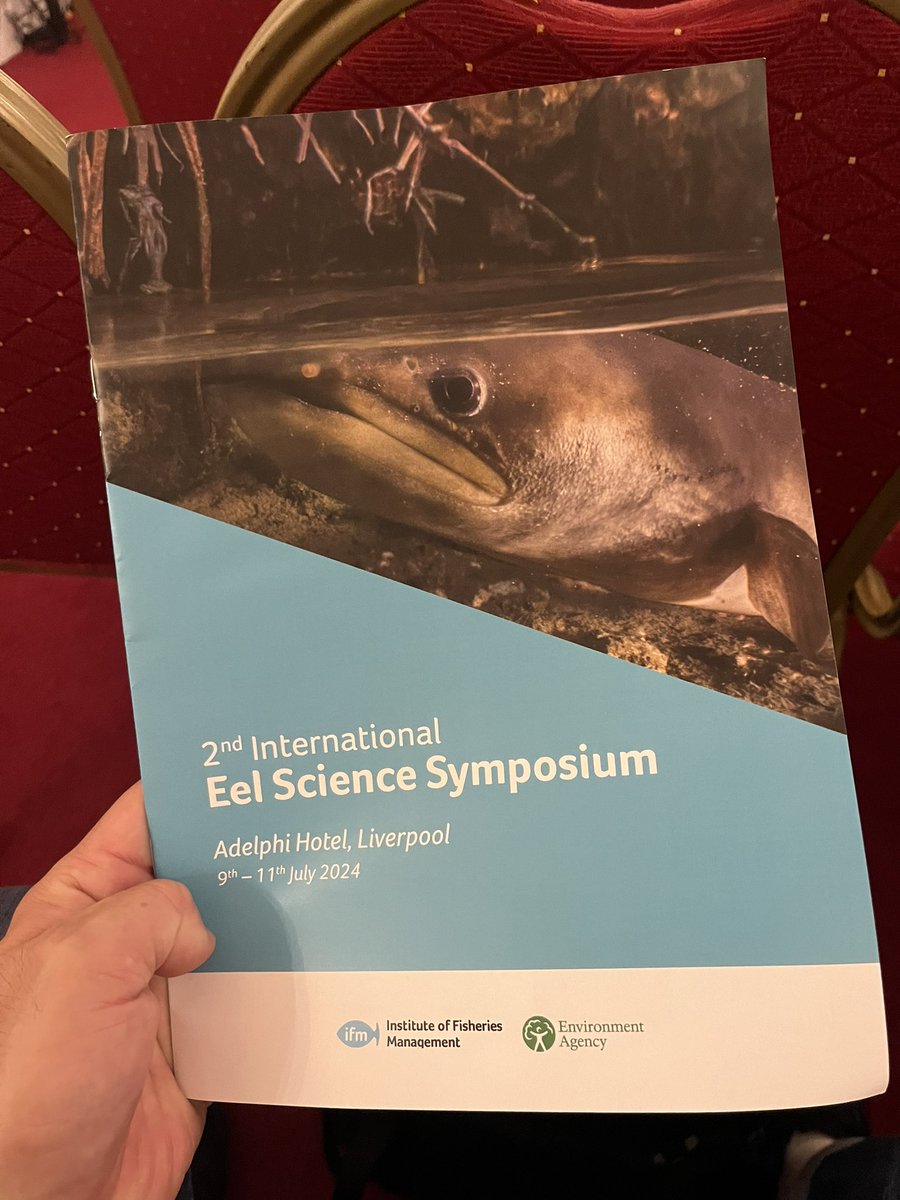 Hikaru Itakura（板倉光） tweet media