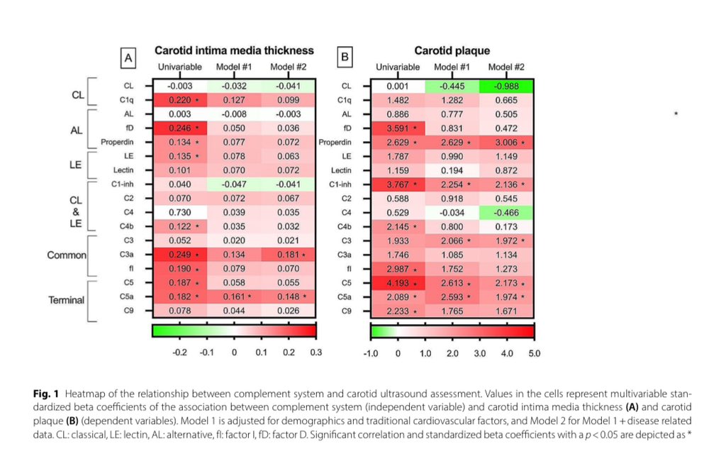 The Relationship between the complement system and subclinical carotid atherosclerosis in patients with rheumatoid … pubmed.ncbi.nlm.nih.gov/38978073/ The complement system and subclinical carotid atherosclerosis are linked in patients with RA.