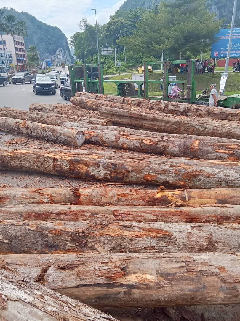 mynewshub's tweet photo. Siti Norelyana Kamaruzan, 21 nyaris maut selepas motosikal yang ditungganginya dihempap muatan kayu balak dibawa sebuah lori ketika sedang mengambil selekoh di lampu isyarat dekat Persimpangan Bendahara, Jalan Gua Musang-Kuala Krai di Gua Musang, kira-kira 11.20 pagi tadi.

Mangsa menerima rawatan di Unit Kecemasan Hospital Gua Musang. Keadaannya bagaimanapun dikatakan masih belum stabil.