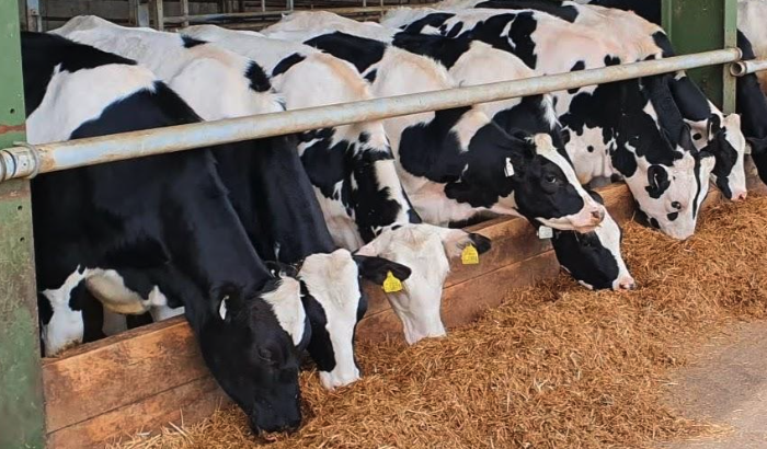 National Biofilms Innovation Centre (NBIC) tweet media