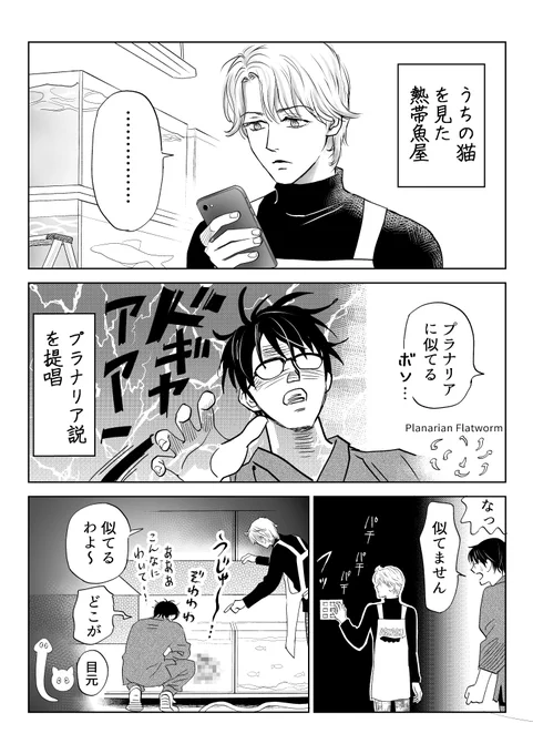 筆坊日記37

#漫画が読めるハッシュタグ #ねこ #猫のいる幸せ 