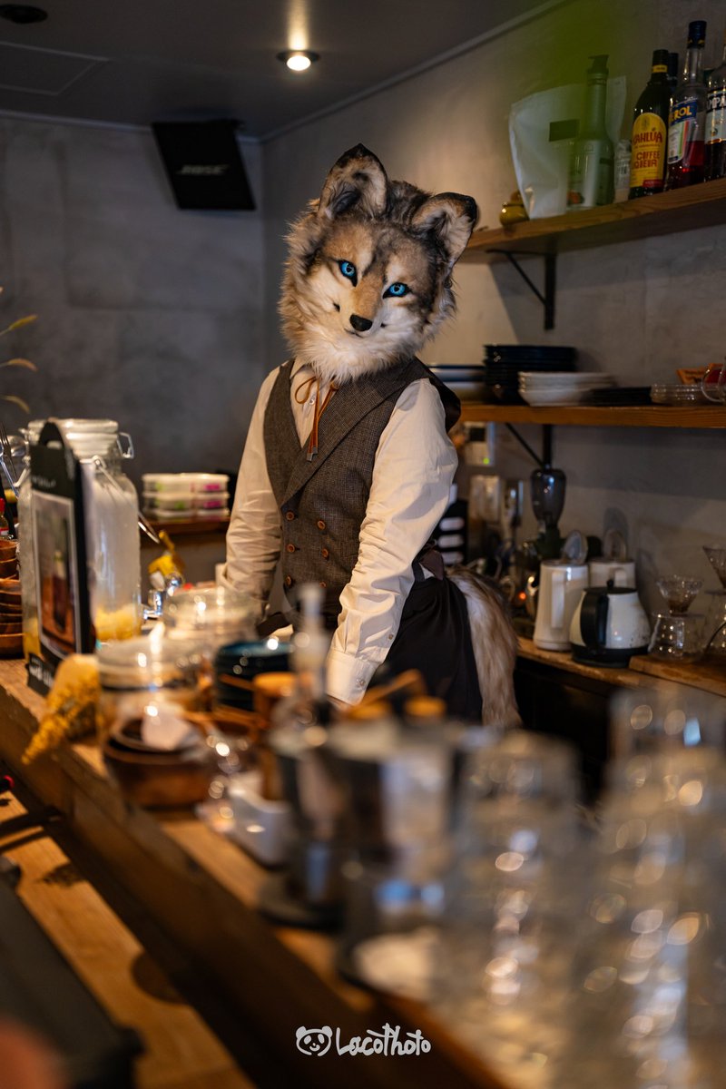 やあいらっしゃい。今日もお疲れ様☕️
#AmbersCafe
📸 <a href="/Lacotot/">Laco🐼📷➡️Infurnity2025</a>