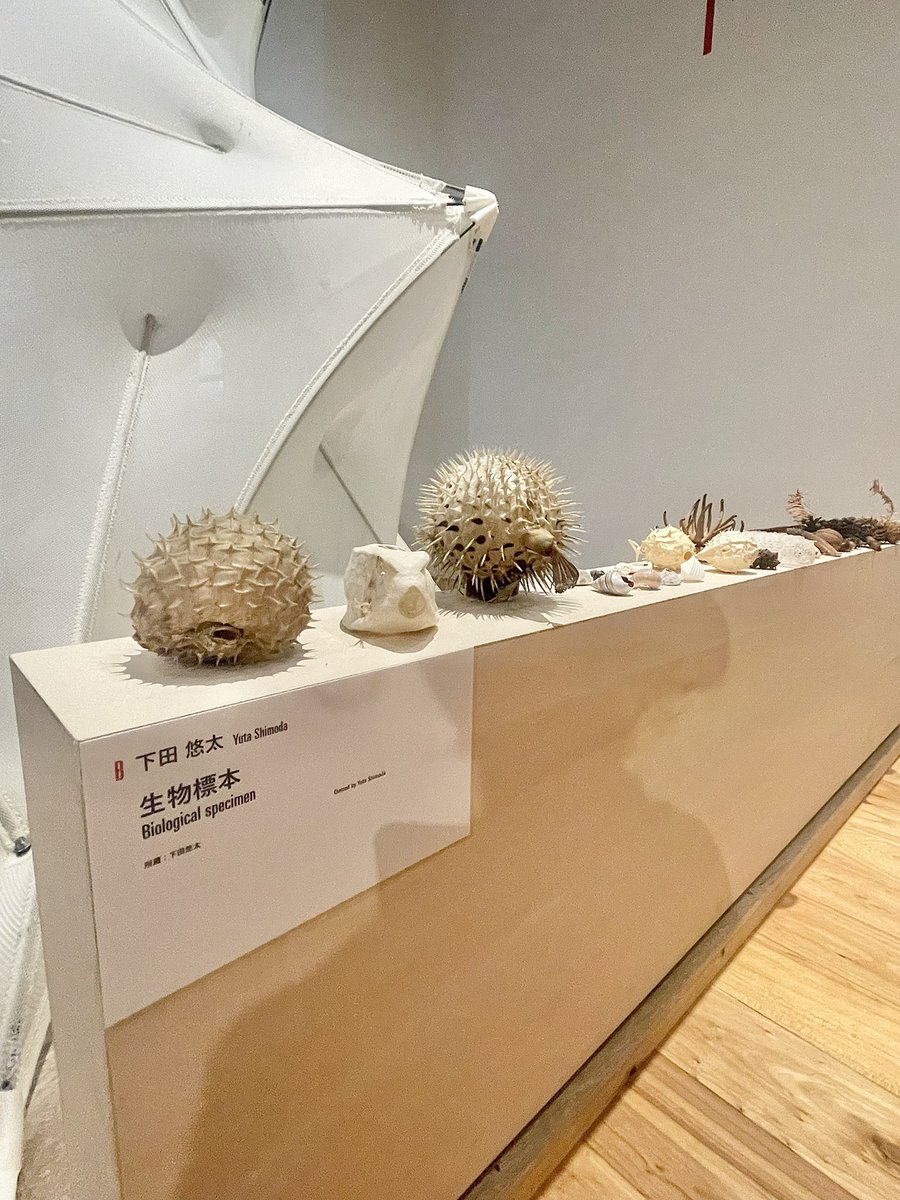 pppproooo's tweet photo. デザイナーチーム施策で「感覚する構造」展へ。
次世代を担う構造家・下田 悠太さんのスペースにて
インタビュー動画ハリセンボン🐡の話に引き込まれて、足が止まった。
ご本人が楽しそうにお話しされているのもとってもよかった。 https://t.co/oEjGhTDjbY