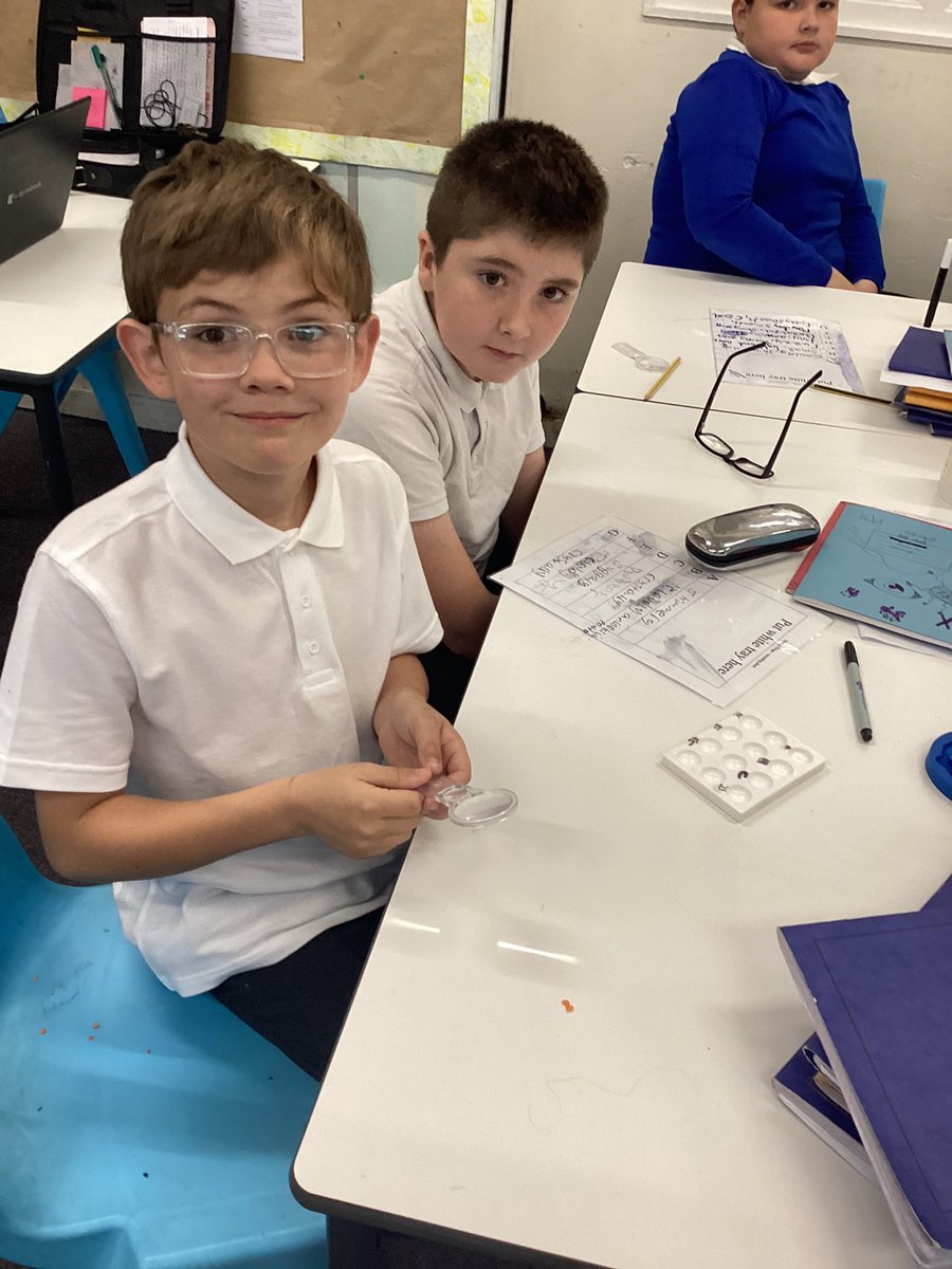 Kingsway Primary Year 5 tweet media